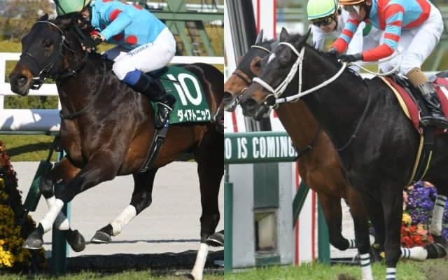 【セレクションセール2022】「薔薇一族」の良血馬、GI2勝馬アドマイヤコジーン甥などが上場／注目馬一覧・2日目