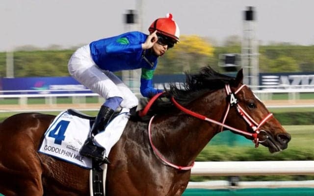 【サセックスS】出馬表確定