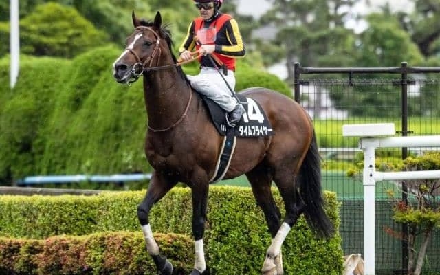 【マイルグランプリ】GI馬タイムフライヤーの復活なるか　南関東のマイル王者決定戦