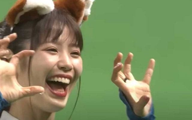 チアの“フリフリ”共演が「めちゃ可愛い」　きつねとたぬきのコラボに「目が幸せっ」