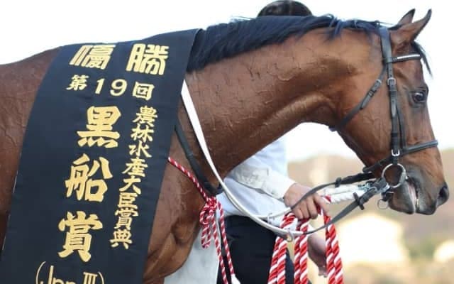 10歳馬ブラゾンドゥリスが引退　三代母に名牝ロジータを持つJpnIII覇者　高知競馬場で誘導馬に