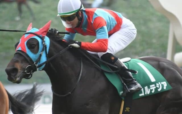 2020年きさらぎ賞覇者コルテジアに右中間手根骨々折が判明　2年間の長期休養から今年6月に復帰も