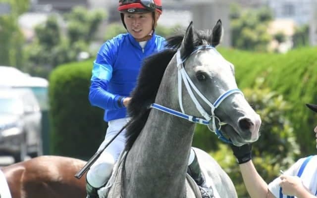 【次走】新馬戦快勝のヤクシマは小倉2歳Sまたはフェニックス賞を予定　Havana Grey産駒として国内初出走初勝利