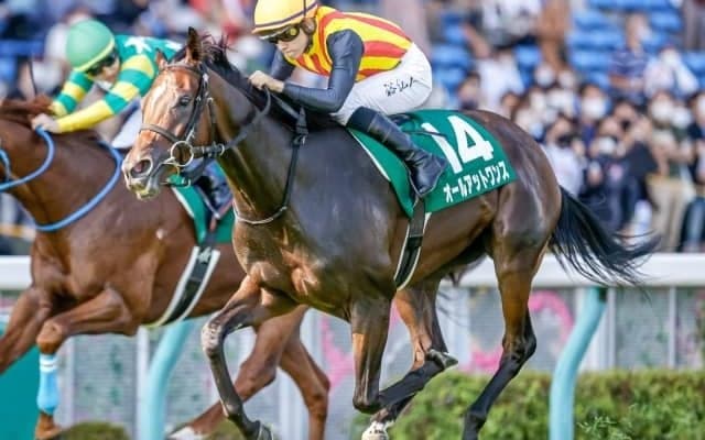 【アイビスSD出走馬・騎手確定】マリアズハート＆菊沢一樹騎手、オールアットワンス＆石川裕紀人騎手など18頭