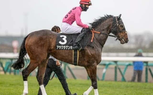 【新潟ジャンプS出走馬・騎手確定】アサクサゲンキ＆石神深一騎手、ゼノヴァース＆森一馬騎手など14頭