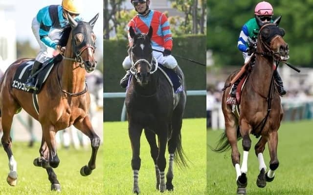 ステゴにオニャンコポン、メイケイエール…京都競馬場主催“ぬいぐるみ化オーディション”のアイドルホース候補10頭が決定！