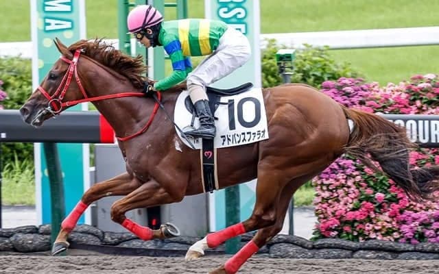 【次走】アドバンスファラオはダリア賞へ 福島の未勝利戦を2馬身半差の快勝