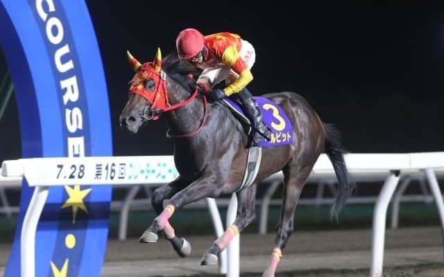 【門別・ブリーダーズゴールドジュニアC結果】ベルピットが人気に応え無傷3連勝で重賞制覇