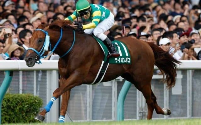 【アイビスSD枠順確定】マリアズハートは3枠6番、ライオンボスは1枠1番