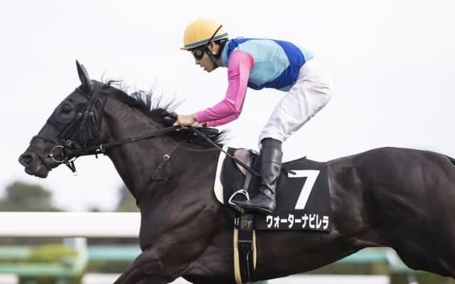 【クイーンS枠順確定】ウォーターナビレラは6枠10番、テルツェットは1枠1番