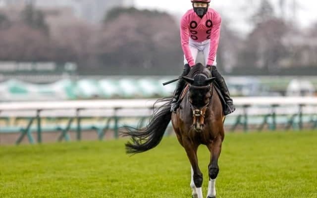 【新潟ジャンプS枠順確定】アサクサゲンキは1枠1番、ゼノヴァースは7枠12番