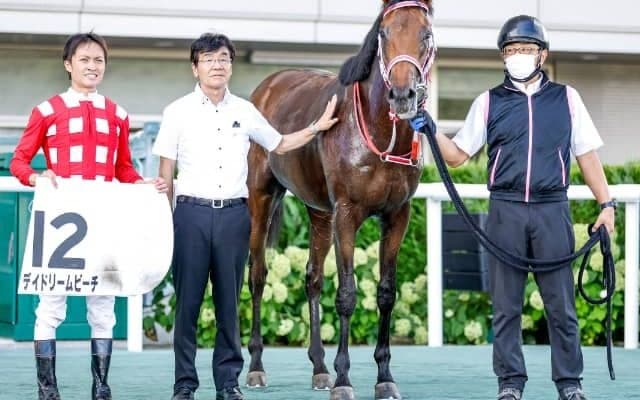 【次走】新馬戦差し切り勝ちのデイドリームビーチは新潟2歳Sへ、ダリア賞を挟む可能性も