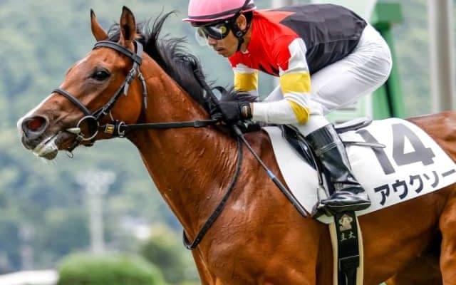 【次走】新馬戦5馬身差の快勝のアウクソーは放牧へ　安田師「使うなら小倉2歳S」