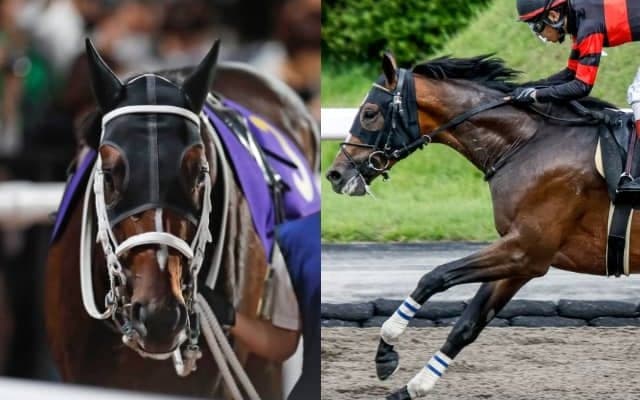 【レパードS想定】JDD4着のハピ、前走完勝ホウオウルーレット、砂転向後連勝のメンアットワークなど