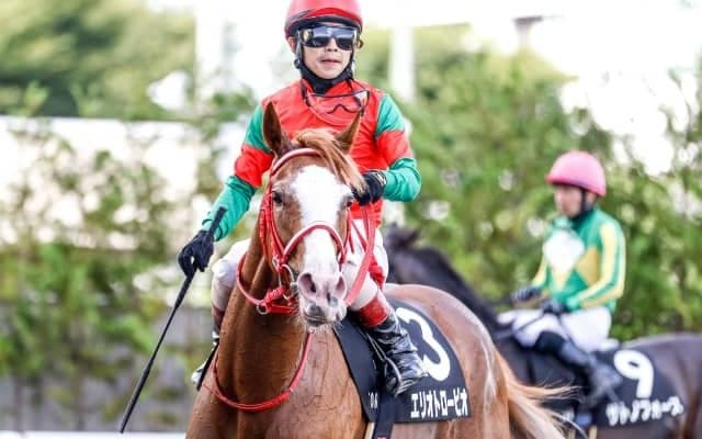 【次走】福島で3連勝のエリオトローピオは秋華賞へ直行　ゴールドシップ産駒の3歳牝馬