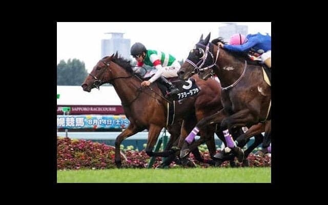 アイビスSDは「初物尽くし」でも魅力たっぷりの人馬に一発の期待