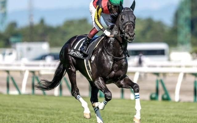 【JRA】グレートマジシャンが予後不良 1年2か月ぶりの復帰戦もゴール叶わず