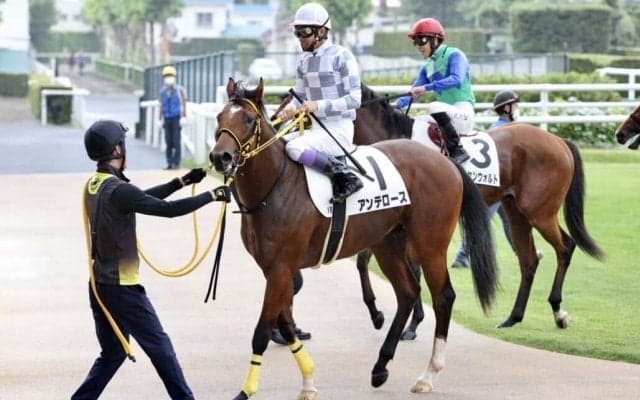【札幌1R】武豊「乗り味が良い」アンテロースが初勝利