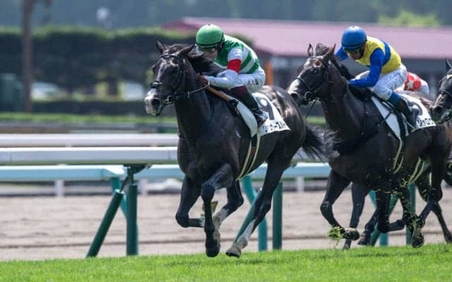 【札幌3R】エフフォーリア半弟 ヴァンガーズハートが初勝利