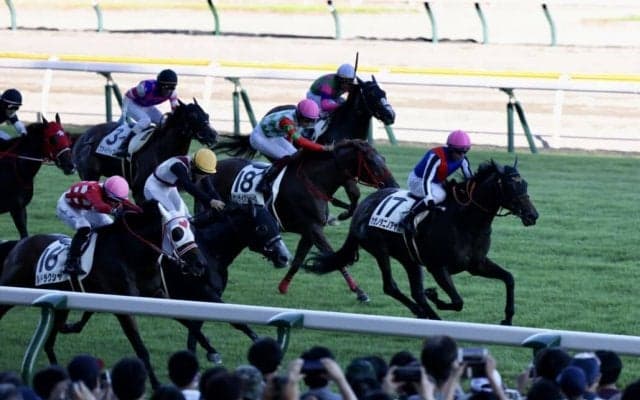 【新潟12R】ホー騎手 JRA初勝利！カゼノタニノアヤカで抜け出す