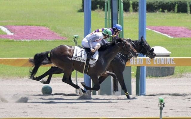 【新馬/新潟6R】8番人気 ニシキギミッチーがデビューV