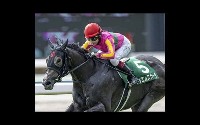 アイビスSDの馬券のヒントになるのは、２人の女性騎手か、朱鷺か、それとも……