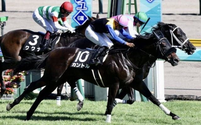 【佐渡S】長期休養明け 良血馬カントルがオープン入り
