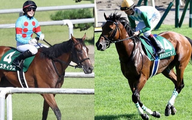 菜七子、聖奈がアイビスSDで競演 女性騎手結果
