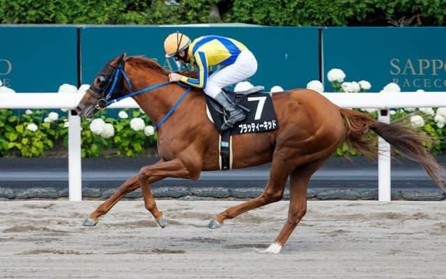ダート重賞のエルムSとレパードS/今週の競馬界の見どころ