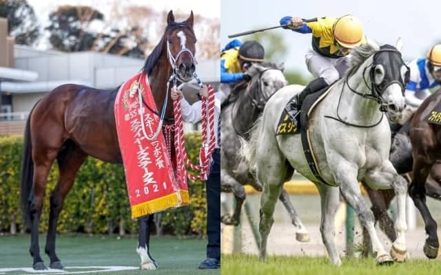 【札幌日経OP】3億円馬テンカハルやクロフネの甥ボスジラなどが登録　古豪ペルーサの復活などで知られる長距離戦