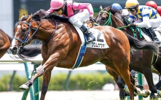 【次走】フロムナウオンは夏場休養　10月のサウジアラビアロイヤルカップで始動予定