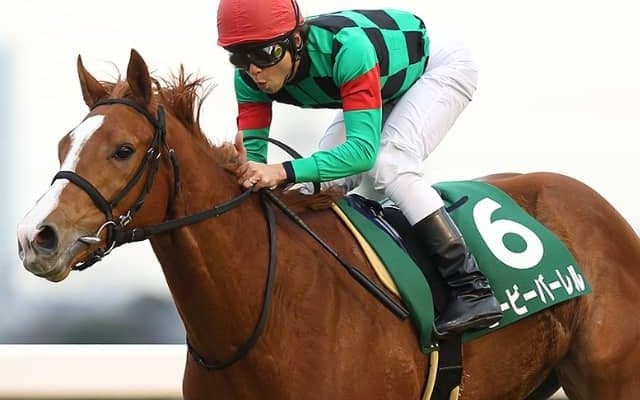 【POG】GIII覇者ビービーバーレルの2番仔が8月デビューを目指す　中館師「芝1800mから使いたい」