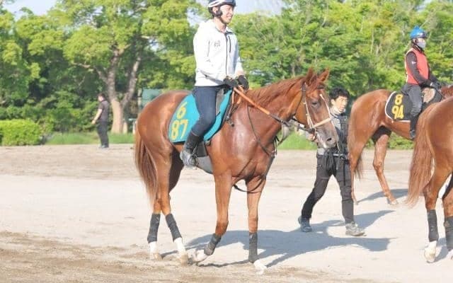 米キーンランドセプテンバーセールにて落札されたモダナイズクィーンがデビュー/関東馬メイクデビュー情報