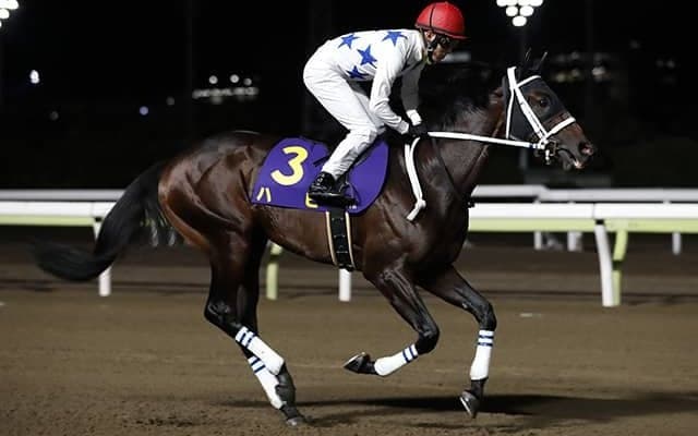 【レパードS想定騎手】ハピは藤岡佑介騎手、ホウオウルーレットは福永祐一騎手