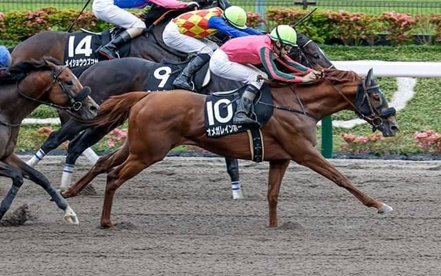 【エルムS想定騎手】オメガレインボーは横山和生騎手、ウェルドーンは武豊騎手