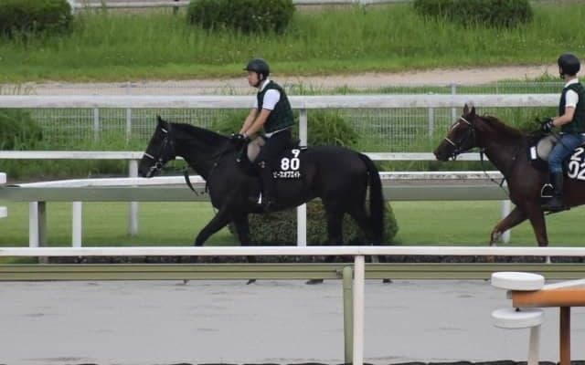 ピースオブエイトなど、先週の入厩情報/栗東トレセンニュース