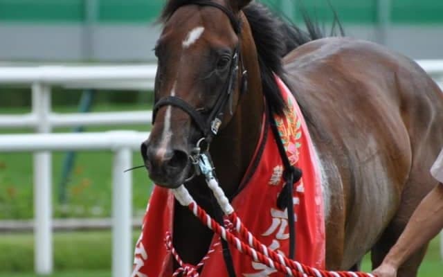 【エルムS】1分40秒9で駆け抜けたロンドンタウン　2017年に計時した圧巻のレコードを振り返る