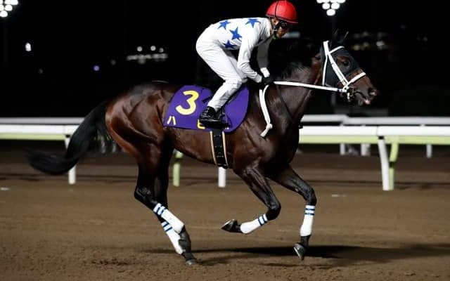 【レパードS予想オッズ】ハピが予想1番人気