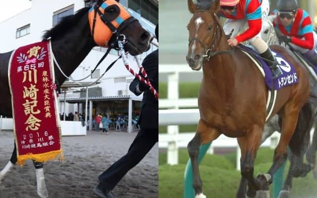 【レパードS】GI/JpnI10勝のホッコータルマエ、JCダート連覇のトランセンドなどが勝利　「出世レース」の歴史を振り返る