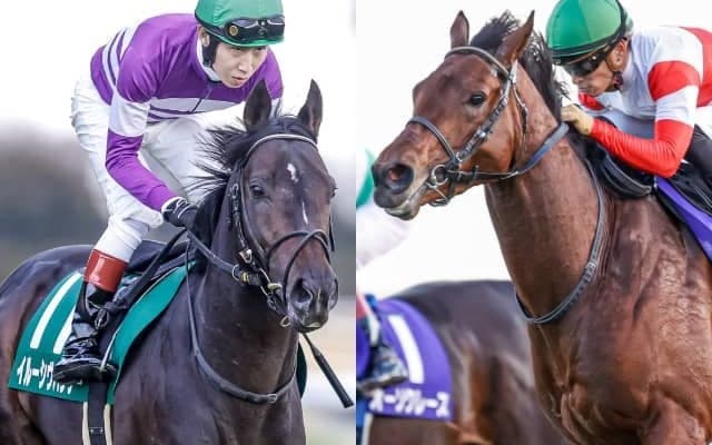 【関屋記念想定】ダノンザキッド、イルーシヴパンサー、スカイグルーヴなど15頭