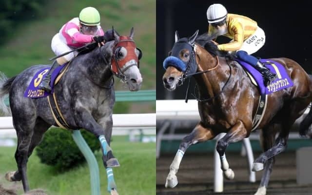 【盛岡・クラスターカップ】連勝中ダンシングプリンス、連覇狙うリュウノユキナ、3歳馬リメイクなど　選定馬・補欠馬が発表