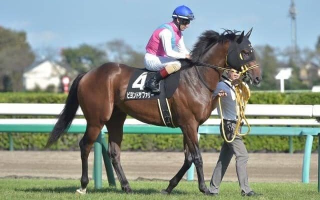 【レパードS予想】先週はAIが指名した馬が激走！今回も伏兵を指名！