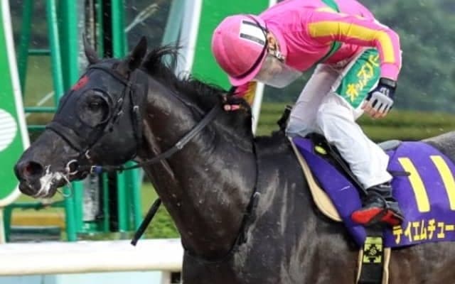 【霧島賞】シーフードパイセン、テイエムオペラオー産駒2頭などが出走　九州産馬限定のJRA交流重賞