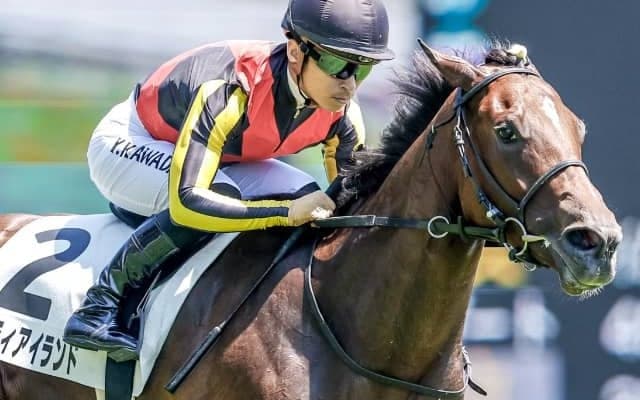 【次走】リバティアイランドは新潟2歳Sへ　上がり3F31.4秒、JRA史上最速タイの鬼脚で新馬勝ち