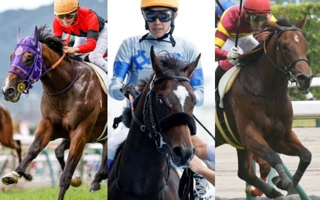 【ダリア賞】豪G1馬の仔フミサウンドや大井のシテイタイケツなどが出走予定　2歳王者も送り出したOP戦