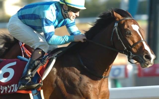 重賞2勝馬オーシャンブルーが骨折のため安楽死　2012年有馬記念でゴールドシップと「ステイゴールド産駒ワンツー」