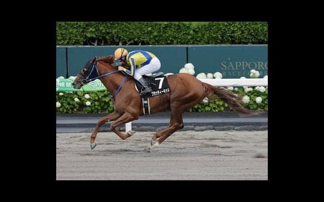 エルムＳは種牡馬成績から２頭を厳選。末脚の切れる８連勝中の馬が本命、対抗はダート1700ｍ巧者の７歳馬