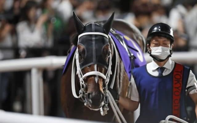 【レパードS枠順確定】タイセイドレフォンは2枠2番、ハピは5枠9番