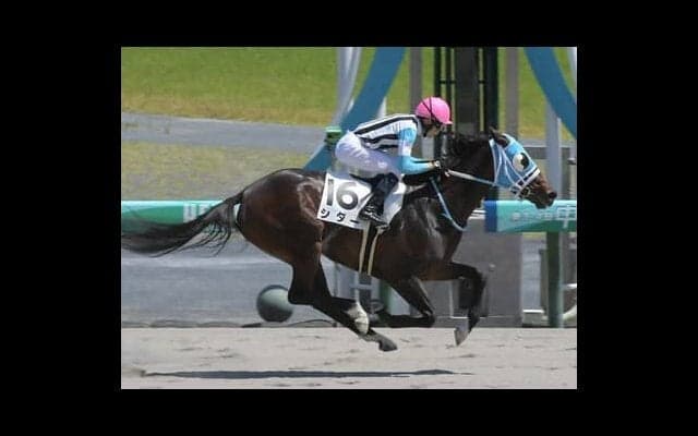 「荒れる」レースに変貌したレパードＳ。過去データから浮上した穴馬候補は４頭いる