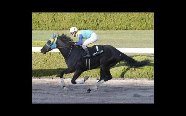 タフな流れが予想されるエルムＳ。穴党記者が推奨する伏兵２頭のまくりが炸裂か